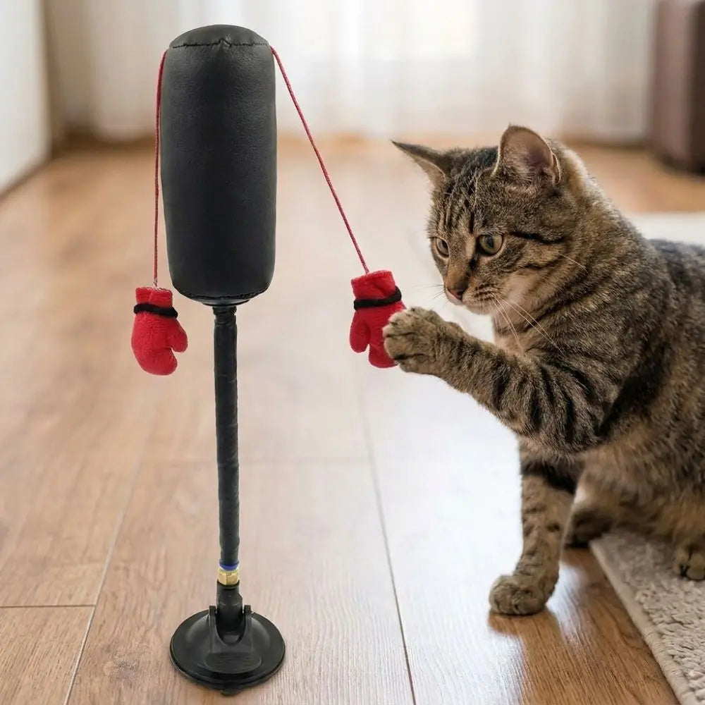 Juguete de Boxeo con Ventosa para Gatos – Enriquecimiento Felino – Nylon/Cuero – 35cm