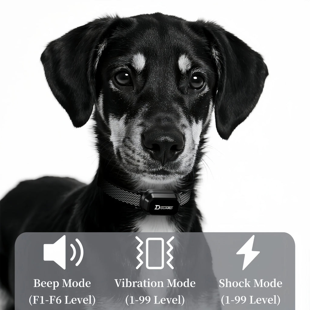 Collar de Adiestramiento Eléctrico para Perros – 1000m – Sonido/Vibración/Estímulo – Impermeable