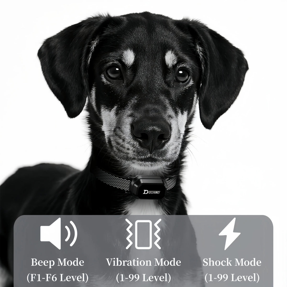 Collar de Adiestramiento Eléctrico para Perros – 1000m – Sonido/Vibración/Estímulo – Impermeable