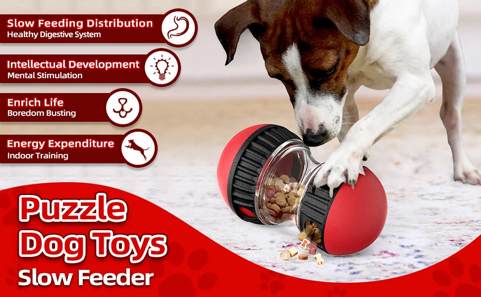 Pelota Dispensadora de Premios para Perros
