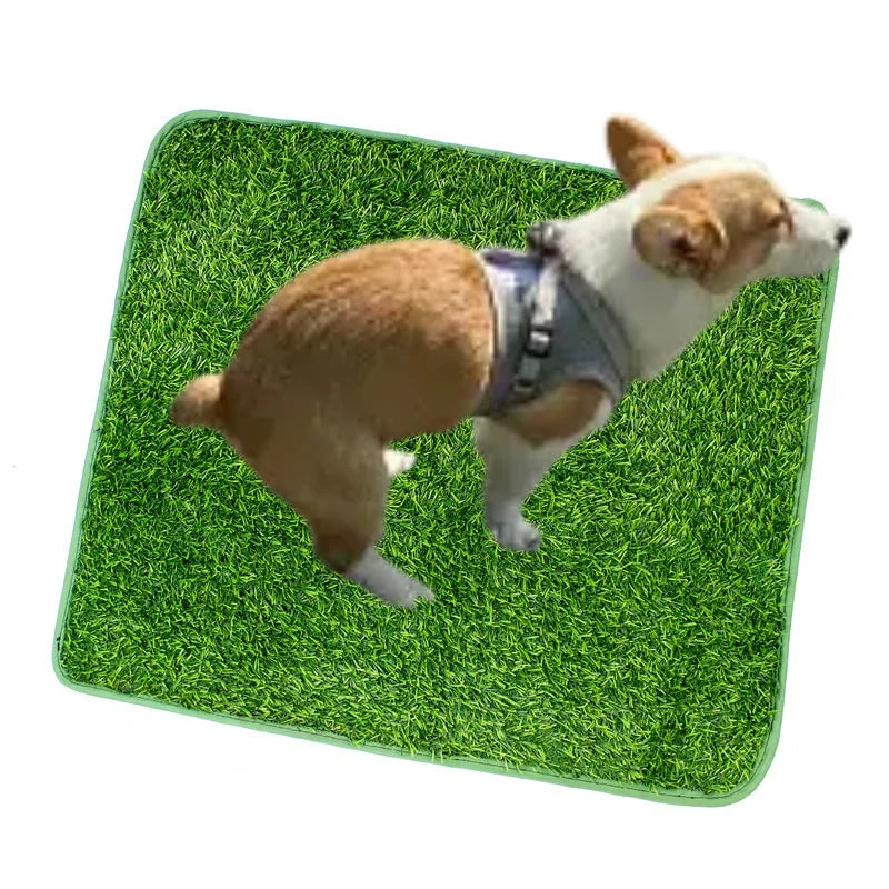 Alfombra de Césped Artificial para Entrenamiento de Perros – Lavable y Reutilizable – Interior