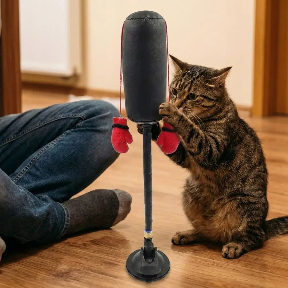 Juguete de Boxeo con Ventosa para Gatos – Enriquecimiento Felino – Nylon/Cuero – 35cm