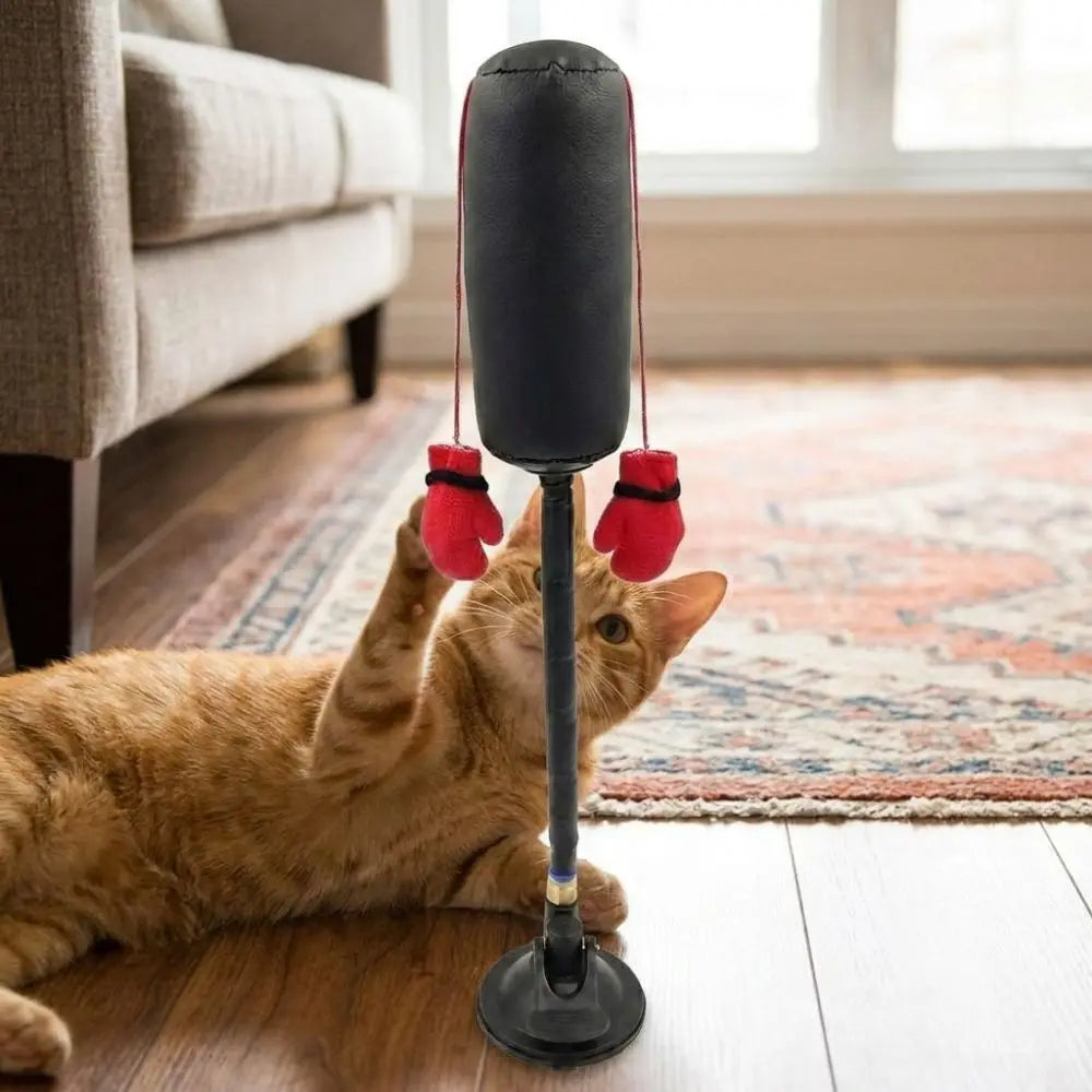 Juguete de Boxeo con Ventosa para Gatos – Enriquecimiento Felino – Nylon/Cuero – 35cm