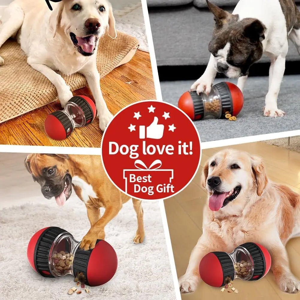 Pelota Dispensadora de Premios para Perros