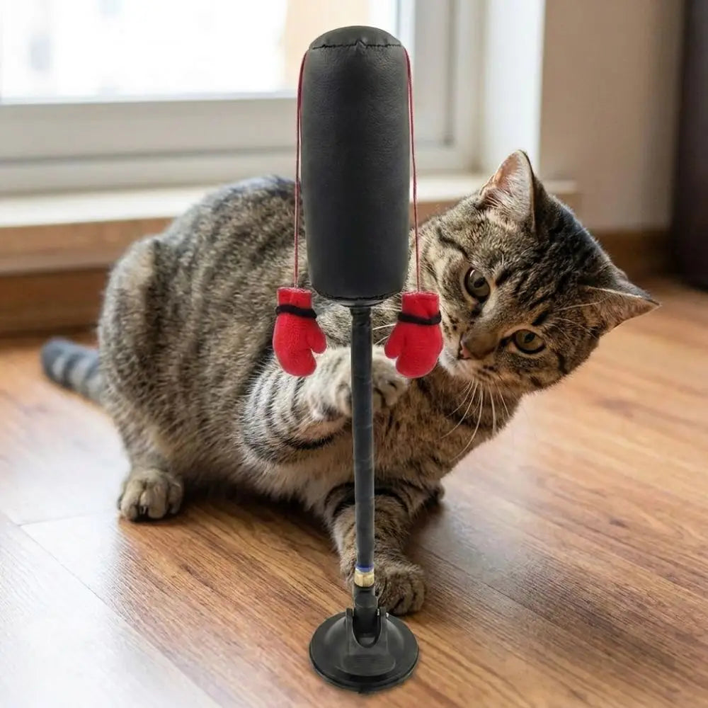 Juguete de Boxeo con Ventosa para Gatos – Enriquecimiento Felino – Nylon/Cuero – 35cm