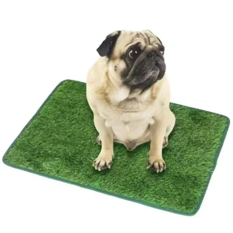 Alfombra de Césped Artificial para Entrenamiento de Perros – Lavable y Reutilizable – Interior