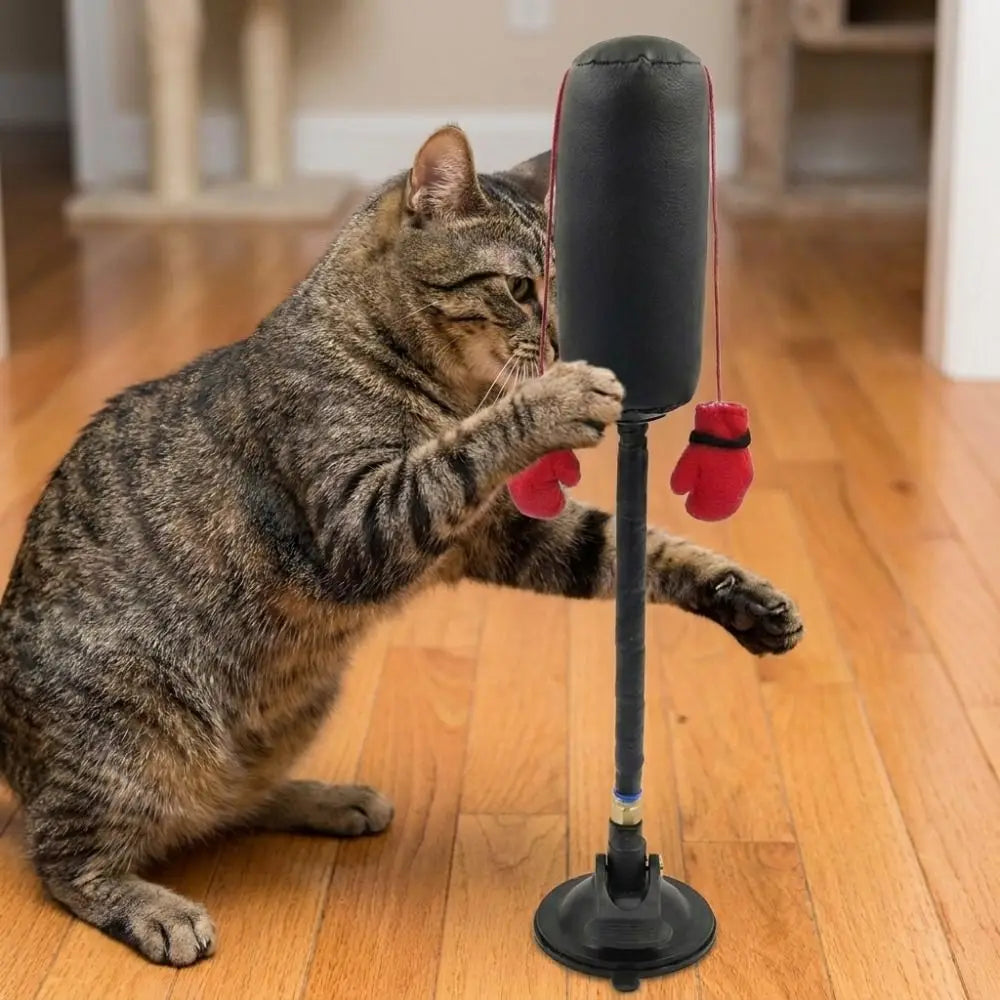 Juguete de Boxeo con Ventosa para Gatos – Enriquecimiento Felino – Nylon/Cuero – 35cm