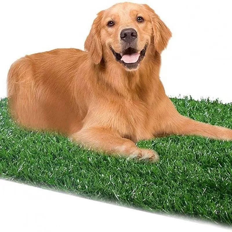 Alfombra de Césped Artificial para Entrenamiento de Perros – Lavable y Reutilizable – Interior