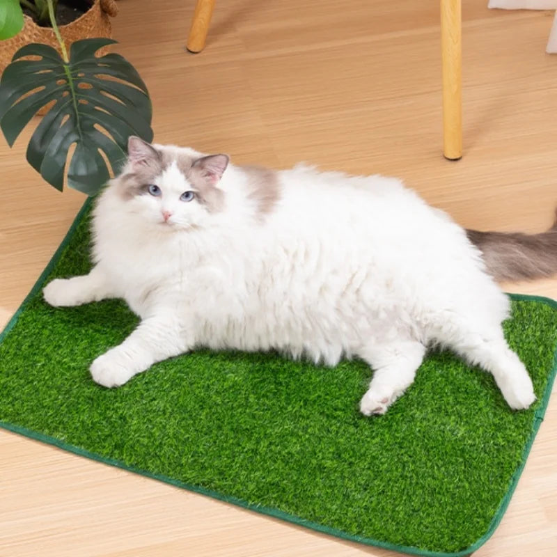 Alfombra de Césped Artificial para Entrenamiento de Perros – Lavable y Reutilizable – Interior