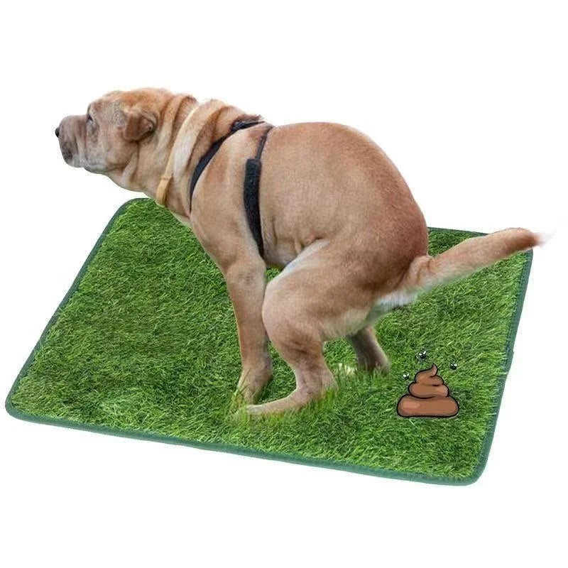 Alfombra de Césped Artificial para Entrenamiento de Perros – Lavable y Reutilizable – Interior