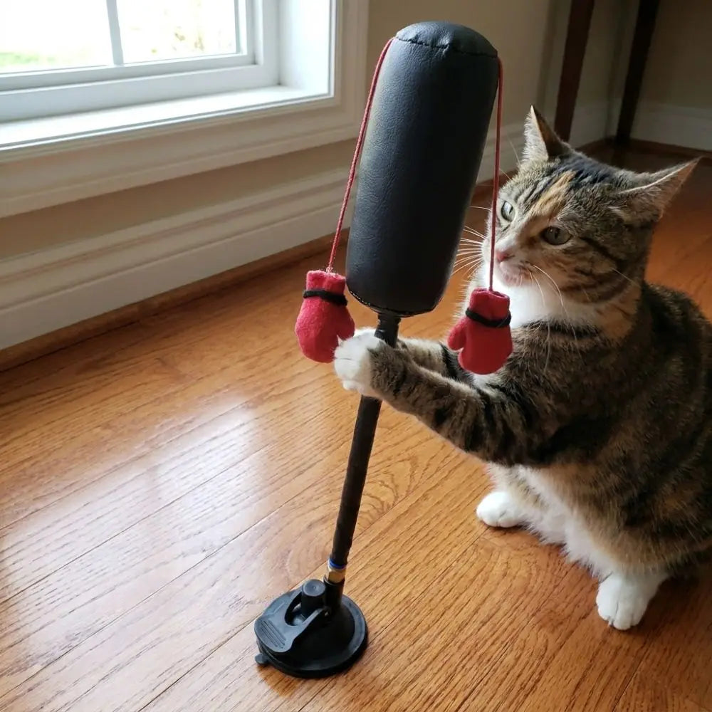 Juguete de Boxeo con Ventosa para Gatos – Enriquecimiento Felino – Nylon/Cuero – 35cm