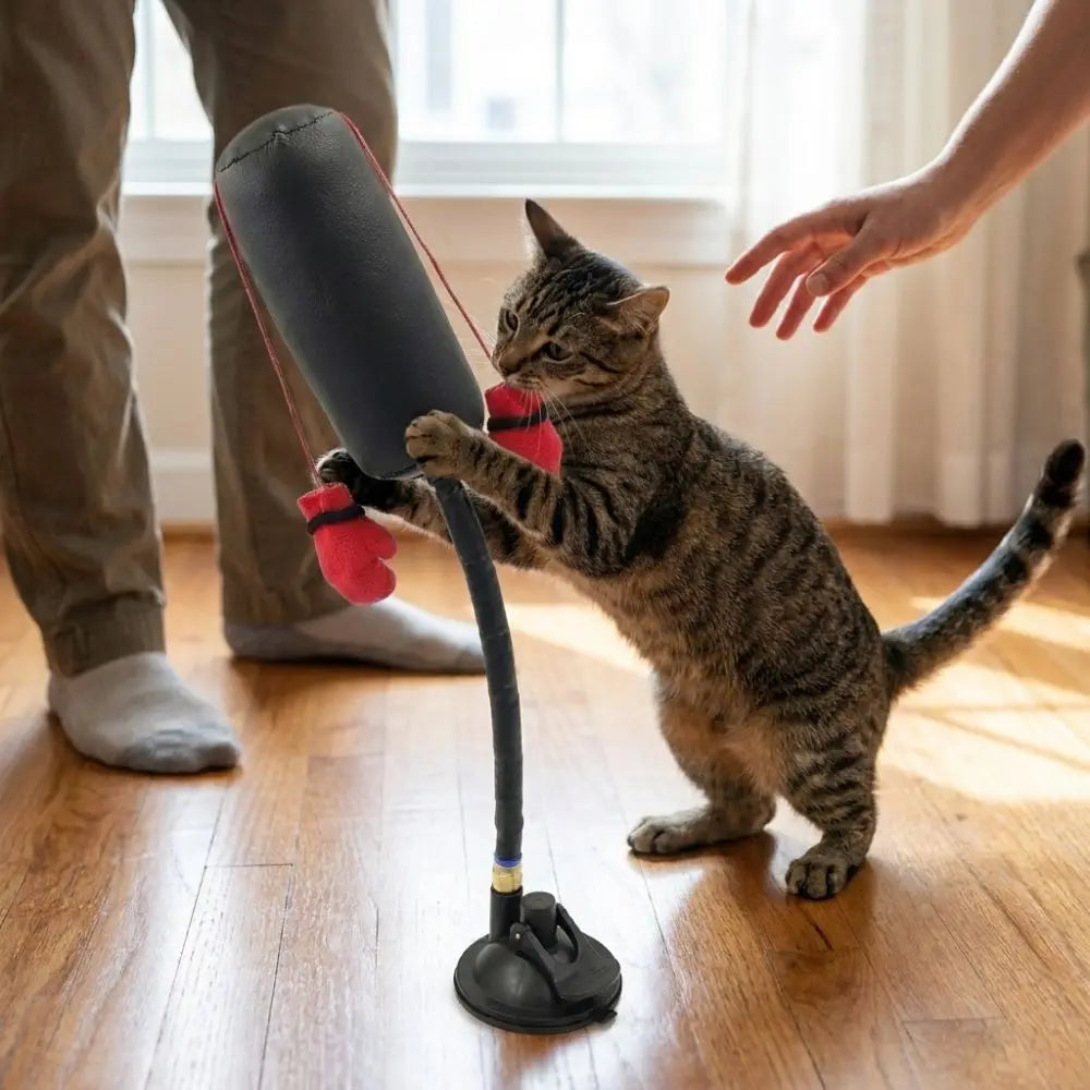 Juguete de Boxeo con Ventosa para Gatos – Enriquecimiento Felino – Nylon/Cuero – 35cm