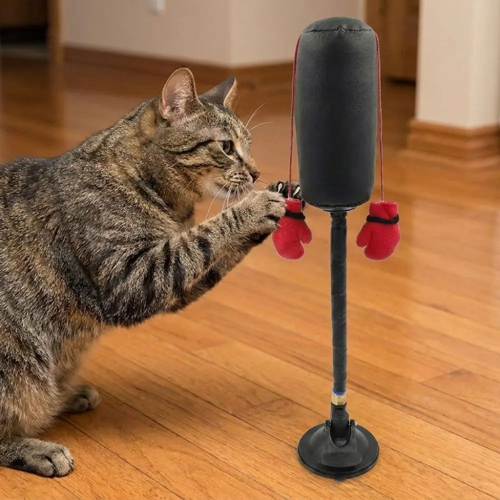 Juguete de Boxeo con Ventosa para Gatos – Enriquecimiento Felino – Nylon/Cuero – 35cm